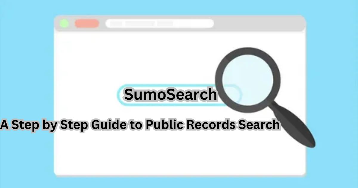 A Step by Step Guide to Public Records Search