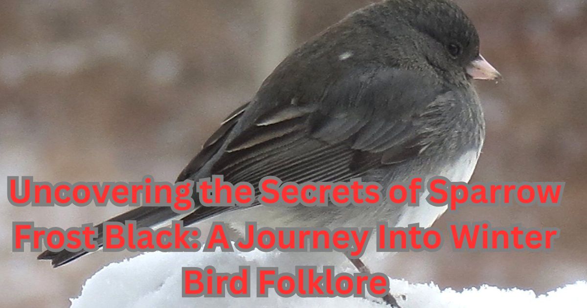 Uncovering the Secrets of Sparrow Frost Black A Journey Into Winter Bird Folklore